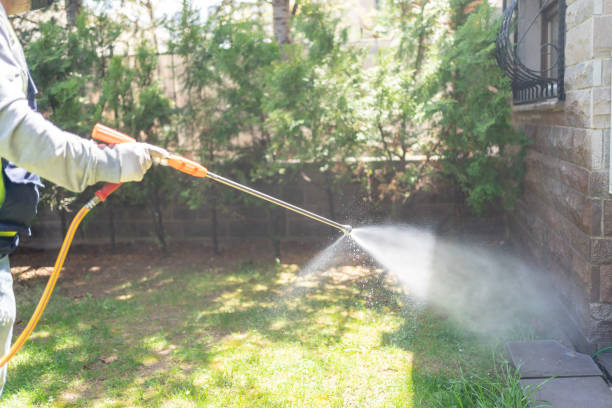 Reliable Lake Odessa, MI Pest Control Solutions